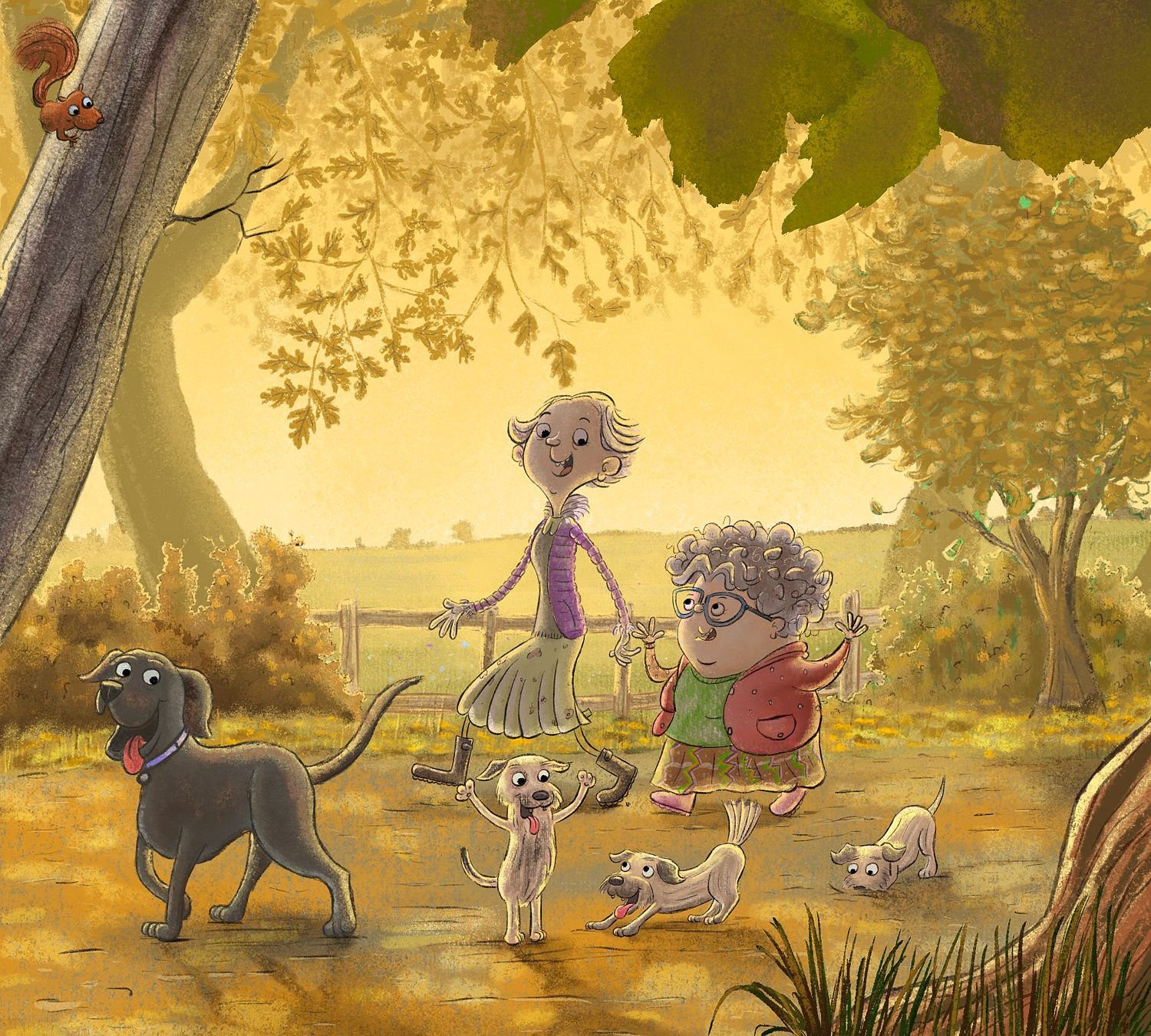 A Woodland Walk
